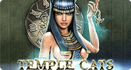 Wilder temple cats
